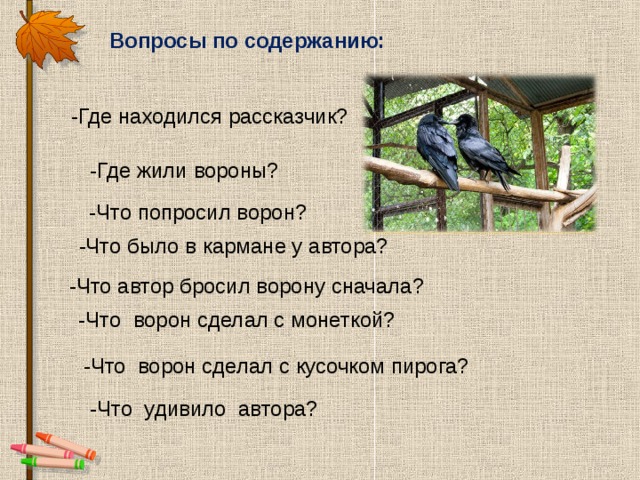 Ворон план. Где живет ворона. Приметы о воронах на деревьях. Как ворона на крыше заблудилась Носов. Где обитает ворона.