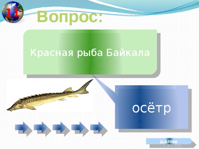 11 Вопрос: Красная рыба Байкала осётр далее 