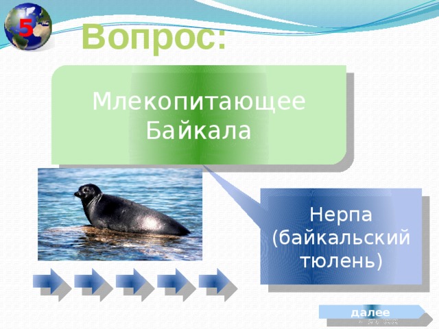 5 Вопрос: Млекопитающее Байкала Нерпа (байкальский тюлень) далее 