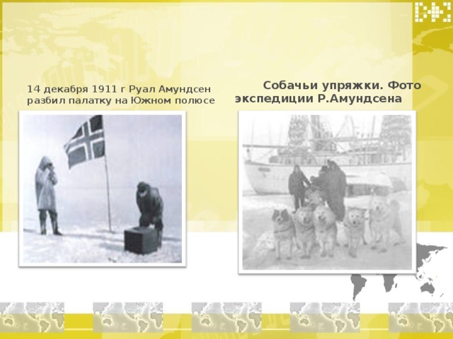 14 декабря 1911 г Руал Амундсен разбил палатку на Южном полюсе  Собачьи упряжки. Фото экспедиции Р.Амундсена 
