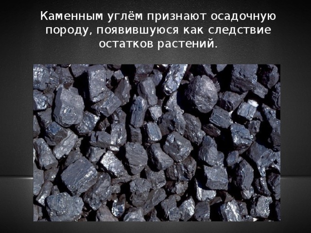 Каменным углём признают осадочную породу, появившуюся как следствие остатков растений. 