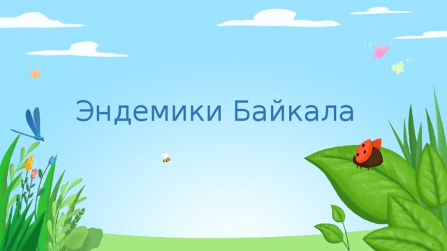 Эндемики Байкала 