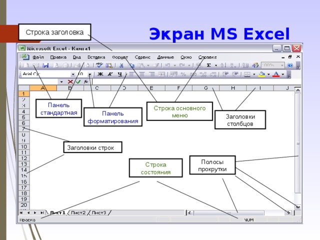 Экран MS Excel  Строка заголовка Панель стандартная Строка основного меню Панель форматирования Заголовки столбцов Заголовки строк Полосы прокрутки Строка состояния 