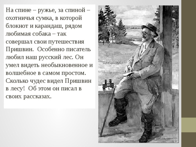 На спине – ружье, за спиной – охотничья сумка, в которой блокнот и карандаш, рядом любимая собака – так совершал свои путешествия Пришвин. Особенно писатель любил наш русский лес. Он умел видеть необыкновенное и волшебное в самом простом. Сколько чудес видел Пришвин в лесу! Об этом он писал в своих рассказах. 