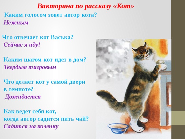 Кот иваныч план рассказа