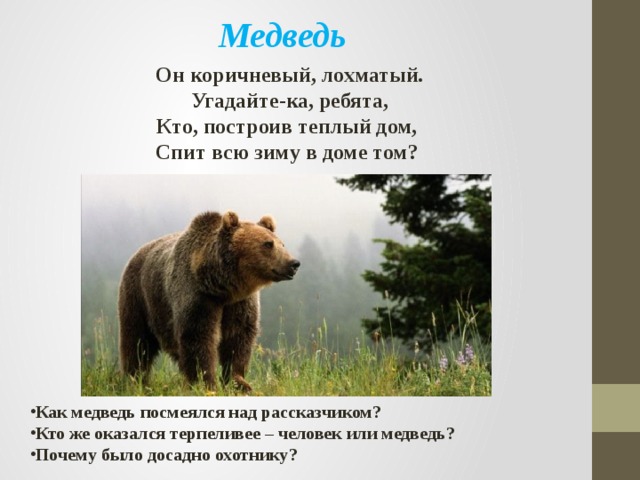 Медведь Он коричневый, лохматый.  Угадайте-ка, ребята,  Кто, построив теплый дом,   Спит всю зиму в доме том?    Как медведь посмеялся над рассказчиком? Кто же оказался терпеливее – человек или медведь? Почему было досадно охотнику? 