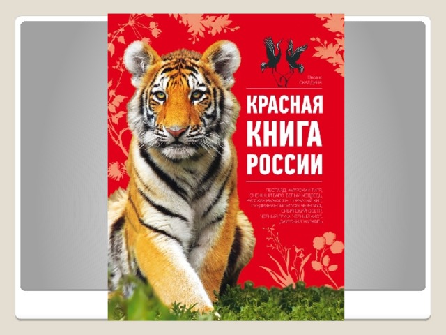 Твоя красная книга