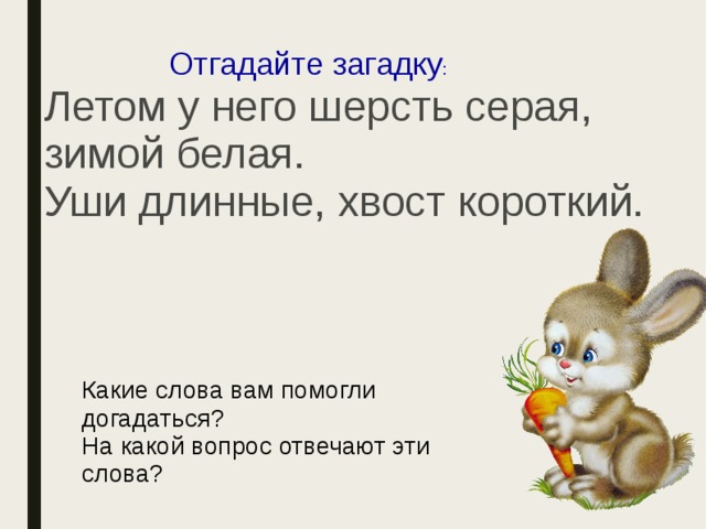 Создание загадки. Загадки отвечающие на вопрос какой. Загадки с вопросительными словами. Загадки с ответами отвечающие на вопросы кто что. Загадки которые отвечают на вопрос кто?.