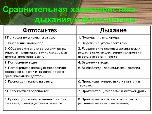 Сравнение процессоров фотосинтеза и дыхания таблица 6 класс ответы