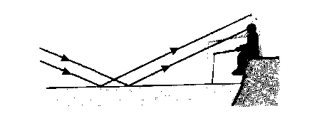 Человек стоящий на берегу озера видит в гладкой поверхности воды изображение солнца как будет
