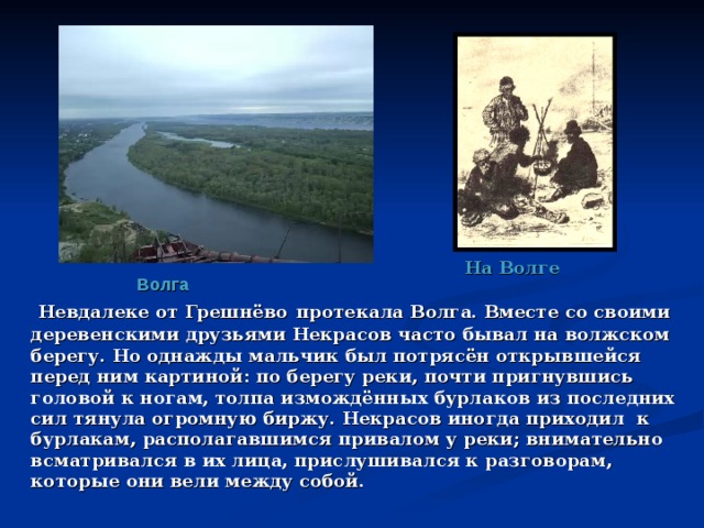 На Волге Волга  Невдалеке от Грешнёво  протекала Волга. Вместе со своими деревенскими друзьями Некрасов часто бывал на волжском берегу. Но однажды мальчик был потрясён открывшейся перед ним картиной: по берегу реки, почти пригнувшись головой к ногам, толпа измождённых бурлаков из последних сил тянула огромную биржу. Некрасов иногда приходил к бурлакам, располагавшимся привалом у реки; внимательно всматривался в их лица, прислушивался к разговорам, которые они вели между собой. 
