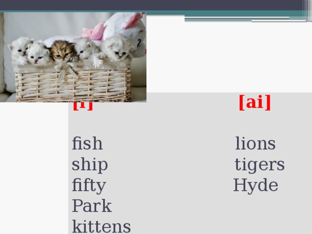 [i]  [ai]    fish lions  ship tigers  fifty Hyde Park  kittens 