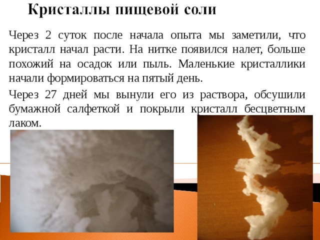 Через 2 суток после начала опыта мы заметили, что кристалл начал расти. На нитке появился налет, больше похожий на осадок или пыль. Маленькие кристаллики начали формироваться на пятый день. Через 27 дней мы вынули его из раствора, обсушили бумажной салфеткой и покрыли кристалл бесцветным лаком. 