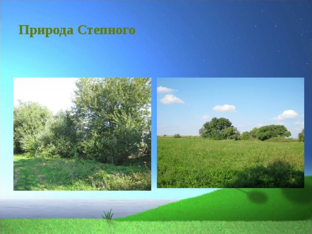 Природа Степного