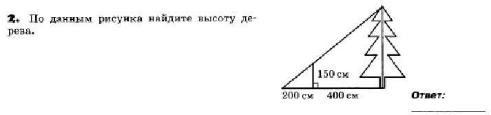 Найдите высоту дерева