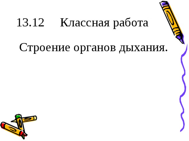 13.12 Классная работа Строение органов дыхания. 