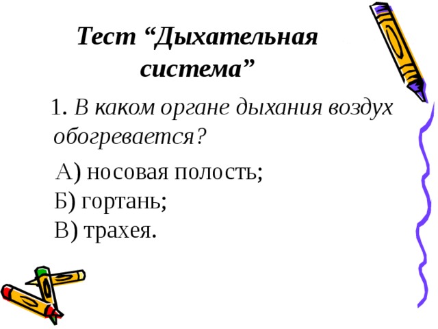 Тест по биологии дыхание. Дыхательная система тест. В каком органе дыхания воздух обогревается ответ. В каком органе дыхания воздух обогревается.