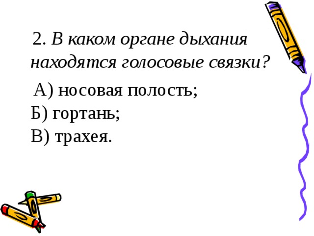 2. В каком органе дыхания находятся голосовые связки?   А) носовая полость;  Б) гортань;  В) трахея. 