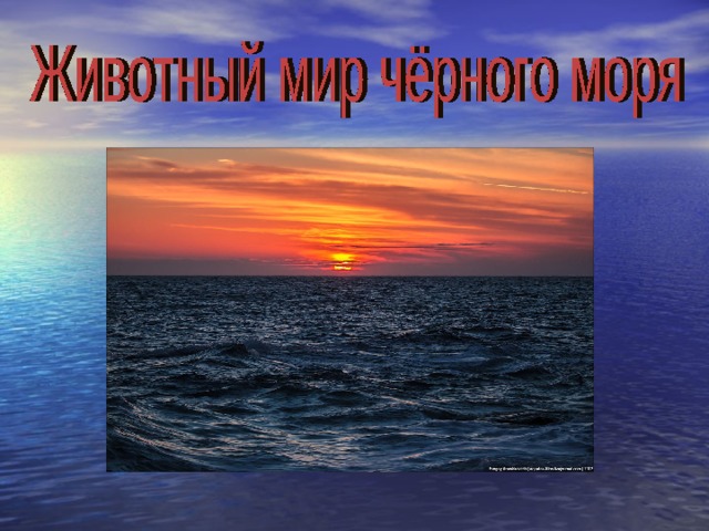 У черного моря 4 класс окружающий мир