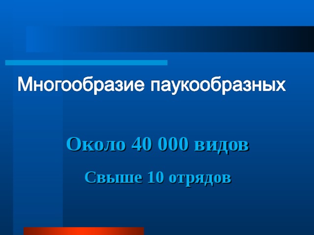 Около 40 000 видов Свыше 10 отрядов  