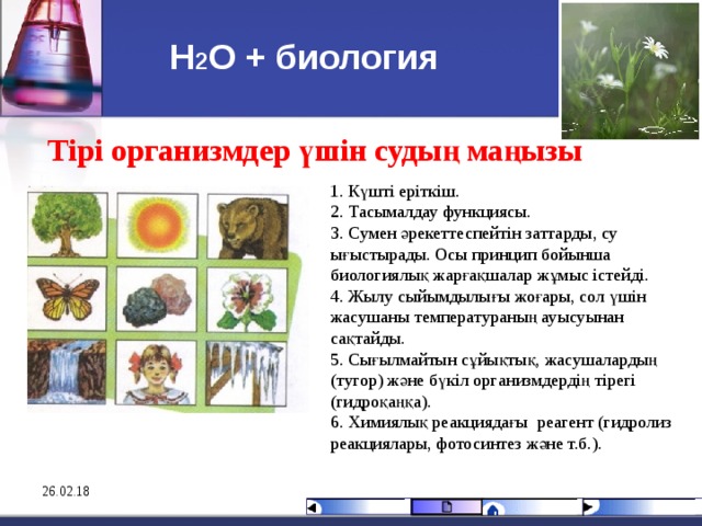 Н 2 О + биология Тірі организмдер үшін судың маңызы 1. Күшті еріткіш. 2. Тасымалдау функциясы. 3. Сумен әрекеттеспейтін заттарды, су ығыстырады. Осы принцип бойынша биологиялық жарғақшалар жұмыс істейді. 4. Жылу сыйымдылығы жоғары, сол үшін жасушаны температураның ауысуынан сақтайды. 5. Сығылмайтын сұйықтық, жасушалардың (тугор) ж әне бүкіл организмдердің тірегі (гидроқаңқа). 6. Химиялық реакциядағы  реагент (гидролиз реакциялары, фотосинтез және т.б.). 26.02.18 