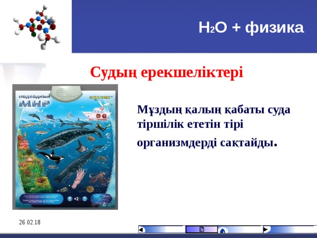 Н 2 О + физика Судың ерекшеліктері  Мұздың қалың қабаты суда тіршілік ететін тірі организмдерді сақтайды . 26.02.18 
