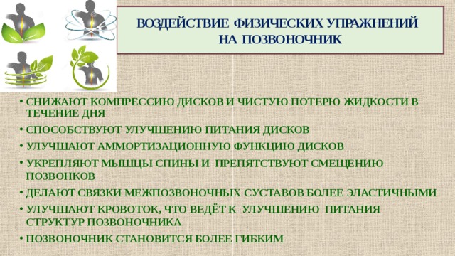 ВОЗДЕЙСТВИЕ ФИЗИЧЕСКИХ УПРАЖНЕНИЙ  НА ПОЗВОНОЧНИК СНИЖАЮТ КОМПРЕССИЮ ДИСКОВ И ЧИСТУЮ ПОТЕРЮ ЖИДКОСТИ В ТЕЧЕНИЕ ДНЯ СПОСОБСТВУЮТ УЛУЧШЕНИЮ ПИТАНИЯ ДИСКОВ УЛУЧШАЮТ АММОРТИЗАЦИОННУЮ ФУНКЦИЮ ДИСКОВ УКРЕПЛЯЮТ МЫШЦЫ СПИНЫ И ПРЕПЯТСТВУЮТ СМЕЩЕНИЮ ПОЗВОНКОВ ДЕЛАЮТ СВЯЗКИ МЕЖПОЗВОНОЧНЫХ СУСТАВОВ БОЛЕЕ ЭЛАСТИЧНЫМИ УЛУЧШАЮТ КРОВОТОК, ЧТО ВЕДЁТ К УЛУЧШЕНИЮ ПИТАНИЯ СТРУКТУР ПОЗВОНОЧНИКА ПОЗВОНОЧНИК СТАНОВИТСЯ БОЛЕЕ ГИБКИМ 