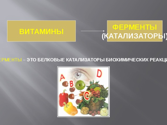 Презентация витамины и ферменты