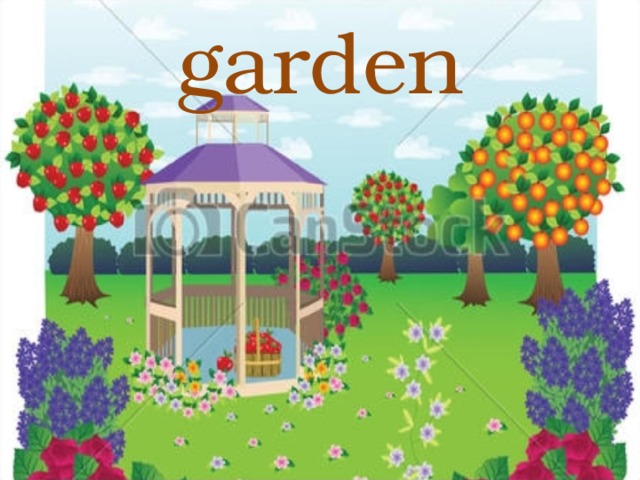 garden 