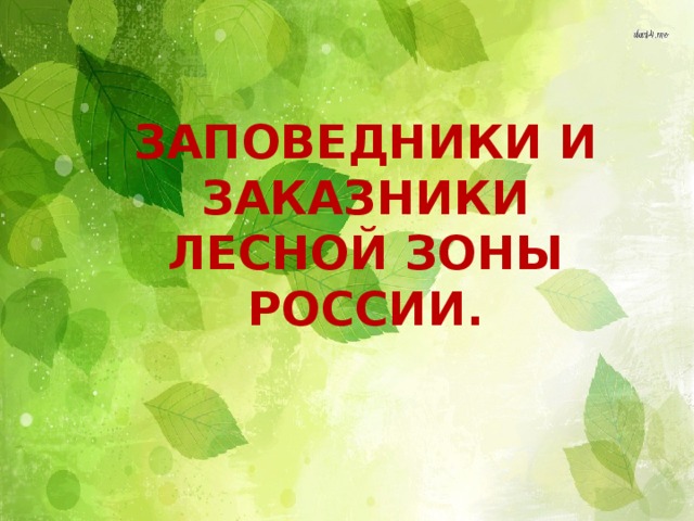 Заповедники и заказники лесной зоны охрана леса презентация 7 кл 8 вид