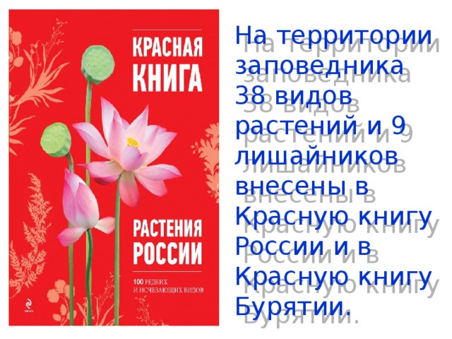 Красная книга бурятии