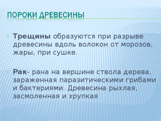 Трещины образуются при разрыве древесины вдоль волокон от морозов, жары, при сушке.  Рак - рана на вершине ствола дерева, зараженная паразитическими грибами и бактериями. Древесина рыхлая, засмоленная и хрупкая 