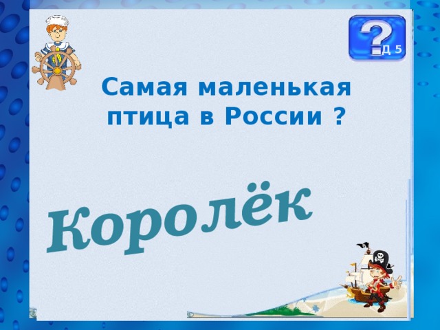 Королёк Д 5 Самая маленькая птица в России ? 