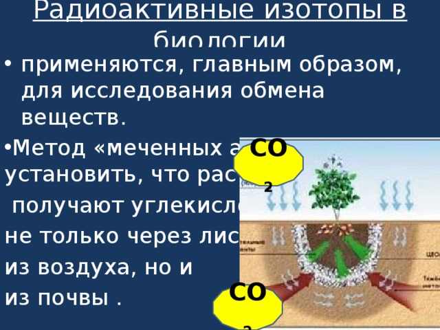 Почему опасны радиоактивные изотопы. Радиоактивные изотопы в медицине презентация. Применение радиоактивных изотопов в биологии. Радиоактивные изотопы в биологии и медицине. Применение радиоактивных изотопов в химии.