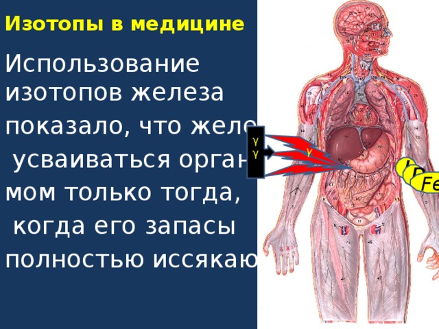 Подготовьте компьютерную презентацию по теме использование радиоактивных изотопов в медицине