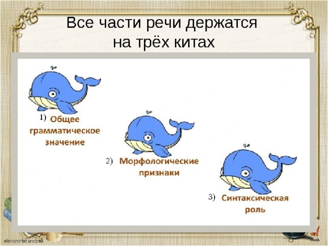 Держится на трех китах