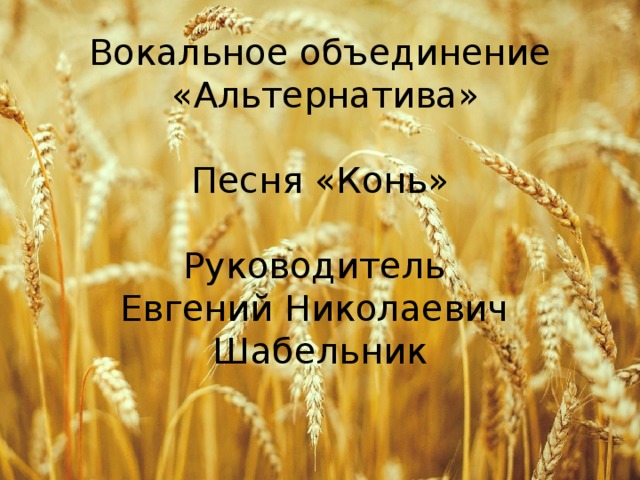 Вокальное объединение  «Альтернатива» Песня «Конь» Руководитель Евгений Николаевич Шабельник 