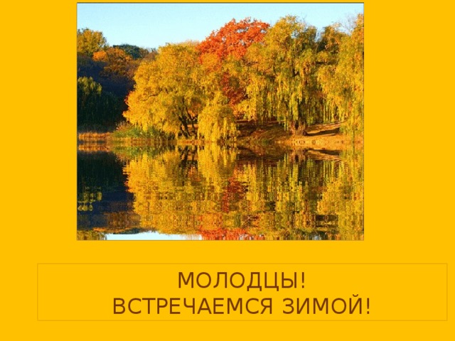 МОЛОДЦЫ!  ВСТРЕЧАЕМСЯ ЗИМОЙ!  