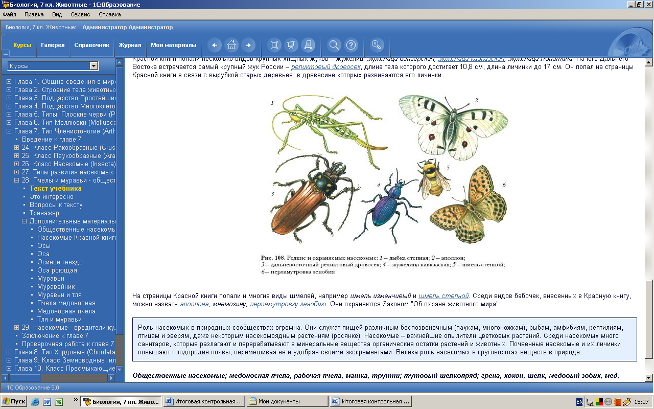 Биология тест класс насекомые. Проверочная работа по биологии 7 класс класс насекомые. Насекомые задания. Класс насекомые задания. Класс насекомые задания 7 класс.