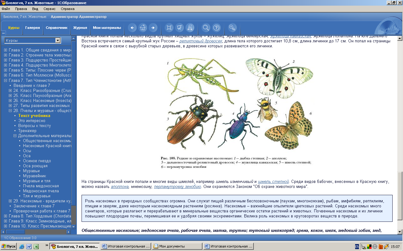 Задание 7 биология. Программа 7 класса по биологии. Задания по биологии 7 класс насекомые. Контрольная биология насекомые. Тест по биологии 7 класс насекомые с ответами.