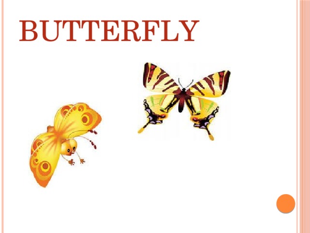 BUTTERFLY 