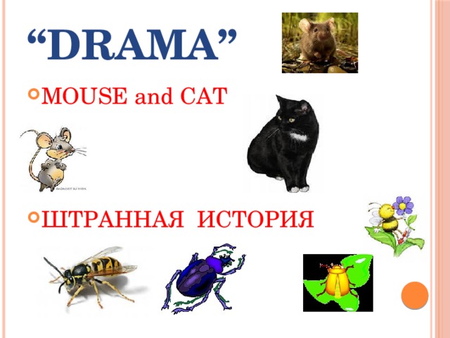 “ DRAMA” MOUSE and CAT ШТРАННАЯ ИСТОРИЯ 