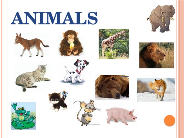 ANIMALS 