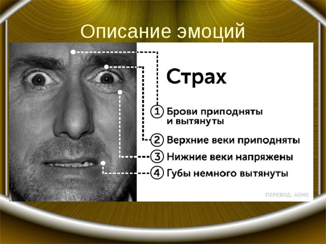 Как выглядит страх человека Психология эмоций - Психологу - Презентации - 11 класс