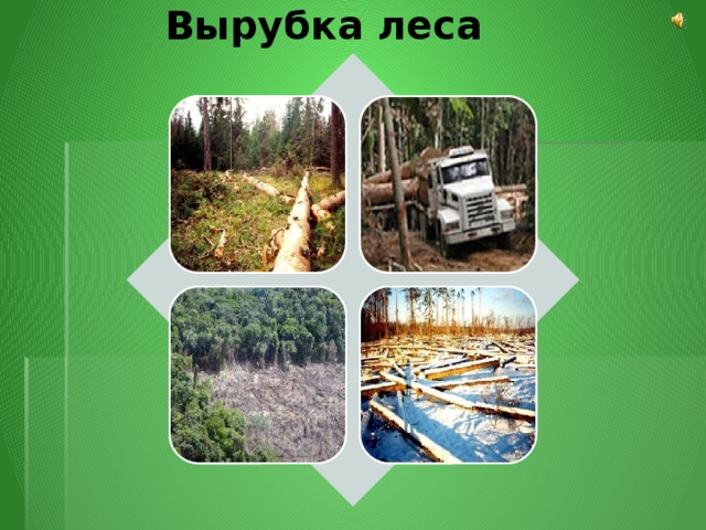       Вырубка леса        