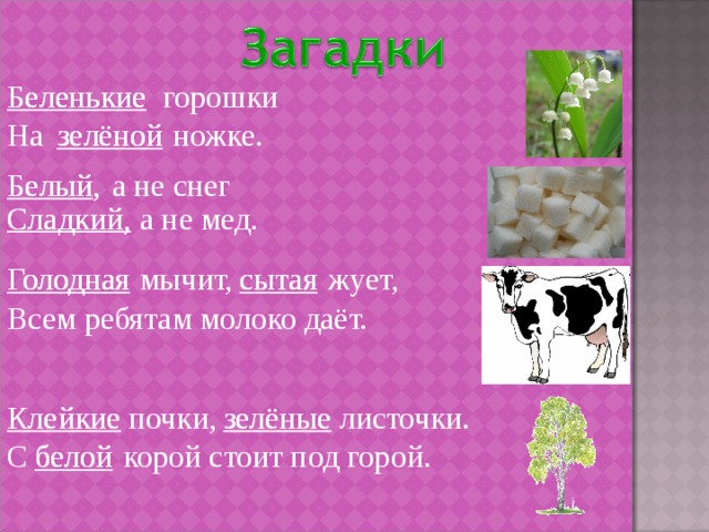 Беленькие горошки Беленькие На зелёной ножке. зелёной Белый , Белый, а не снег а не мед. Сладкий, Сладкий, сытая жует, Голодная Голодная сытая мычит, Всем ребятам молоко даёт. Клейкие почки, зелёные листочки. Клейкие зелёные С белой корой стоит под горой. белой 