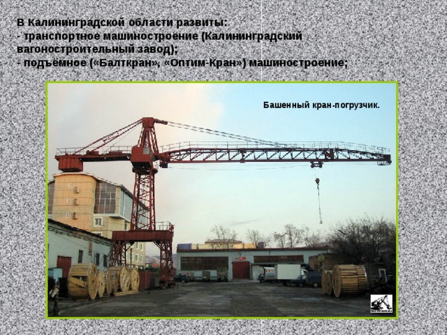 В Калининградской области развиты: - транспортное машиностроение (Калининградский вагоностроительный завод); - подъёмное («Балткран», «Оптим-Кран») машиностроение; Башенный кран-погрузчик. 