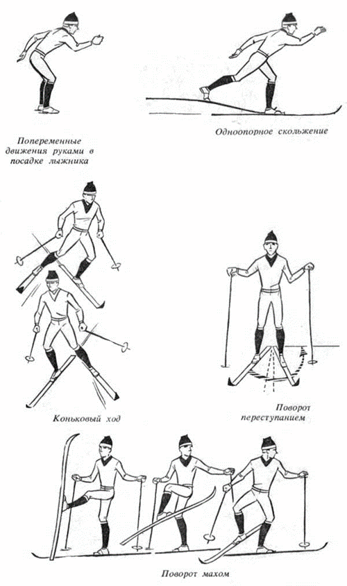 Коньковый попеременный ход на лыжах. Одновременный одношажный коньковый ход. Попеременный коньковый ход на лыжах техника. Попеременный двухшажный ход на лыжах.