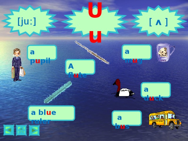 [ ju: ] Uu  [  ʌ  ] a m u g a p u pil A fl u te a d u ck a bl u e ruler  a b u s      