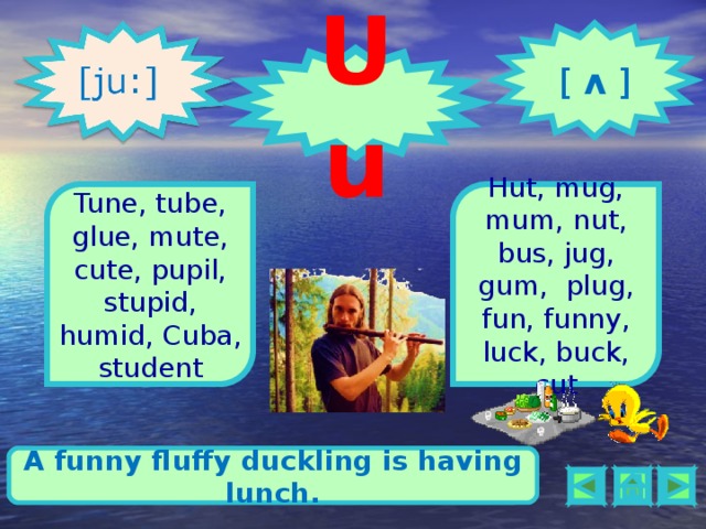  [  ʌ  ] Uu 1 2 Tune, tube, glue, mute, cute, pupil, stupid, humid, Cuba, student Hut, mug, mum, nut, bus, jug, gum, plug, fun, funny, luck, buck, cut Cute has got a flute and a blue ruler. A funny fluffy duckling is having lunch.    